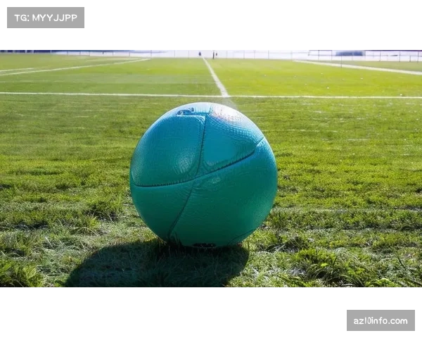 背景报道：为提升观赛体验，王子公园球场启动座椅与照明系统升级工程